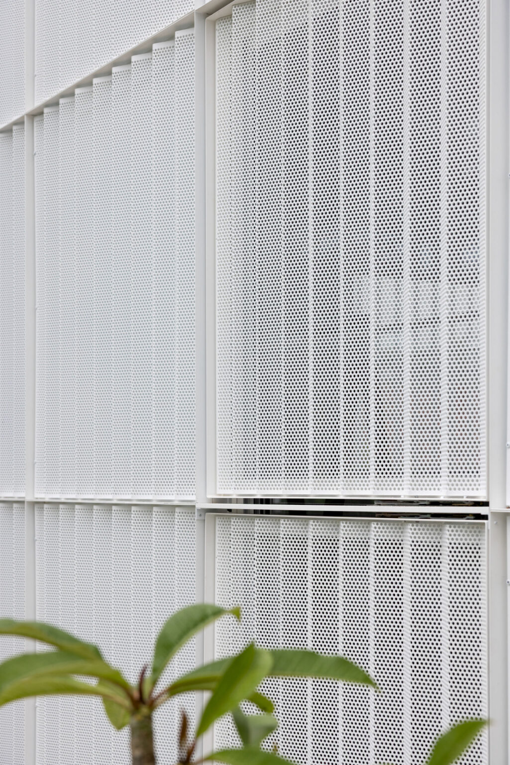Perforated Screens